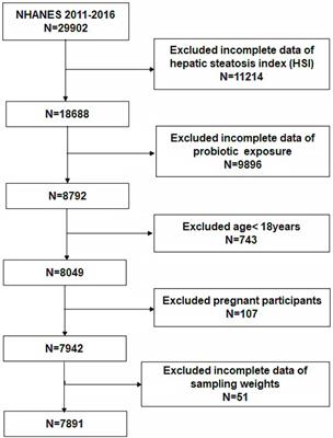 Probiotic consumption and hepatic steatosis: results from the NHANES 2011–2016 and Mendelian randomization study